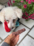 Moo Moo Beef Jerky, 100% USDA-Grade Beef, Freeze Dried, Healthy, All Natural, USA-Made Dog Treat