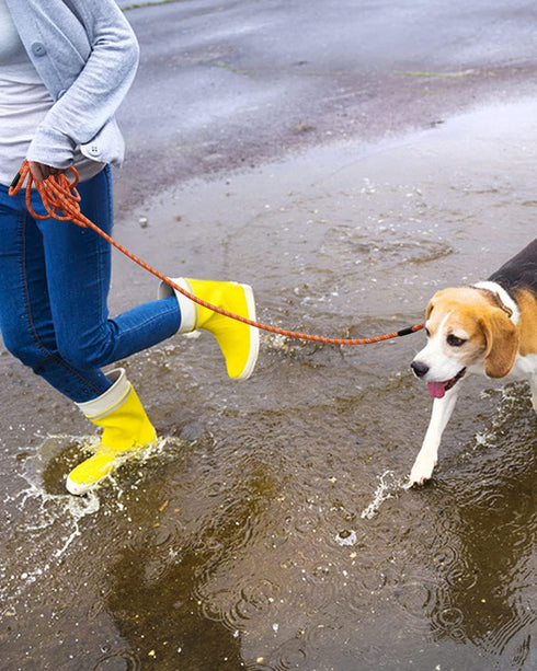 Long Dog Leash for Training 10FT 16FT/30FT/50FT/100FT, Heavy Duty Reflective Rope for Dogs