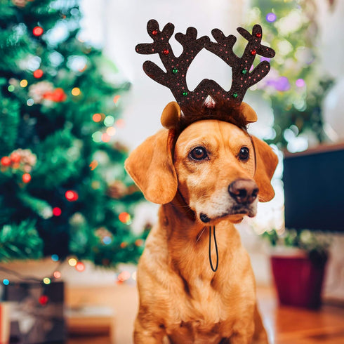 Aneco 3 Pack Christmas Reindeer Dog Headband, Puppy Xmas Antlers Holiday Pet Costume Accessory