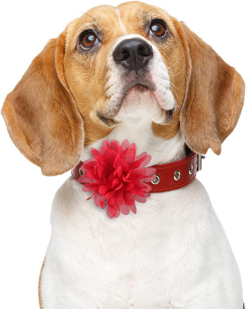 WILLBOND 20 Pcs Pet Flower Collar Bow - 3.1 Inch Multi Color Soft Chiffon Bow Tie Charms for Dogs