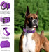 Reflective Dog Collar Heavy Duty Tactical with Control Handle and Metal Buckle for Dog Training (Large, Purple)