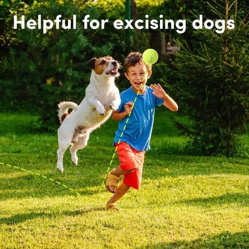 6 Pack 2 inch 2 inch ZIYIZE Mini Tennis Balls, Dog Tennis Balls, Easy Catching Pet Playing Ball for Dog Ball Launcher