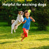 6 Pack 2 inch 2 inch ZIYIZE Mini Tennis Balls, Dog Tennis Balls, Easy Catching Pet Playing Ball for Dog Ball Launcher