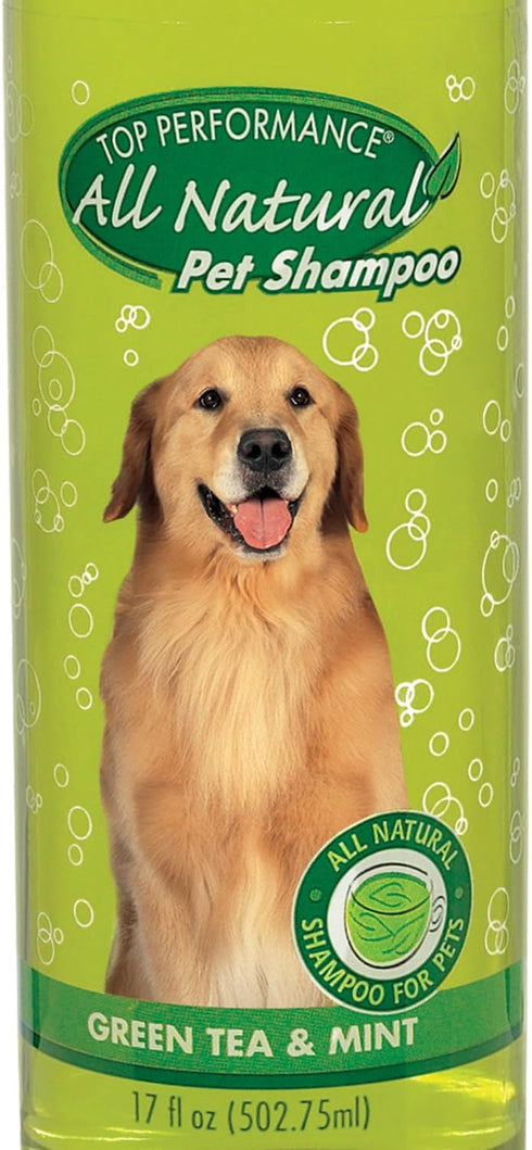Green Tea and Mint Shampoo for Puppies and Kittens by Top Performance – Natural 17 Oz Shampoo for Young Pets