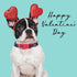 Dog Collar for Small Dogs with Cute Heart Patterns, Adjustable Soft Pet Collar with Safety Buckle for Small Medium