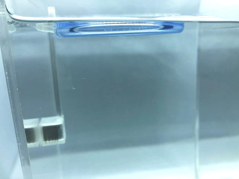 Magnetic Invisible Feeding Ring, Customizable Food Portal for Floating Plant Aquariums