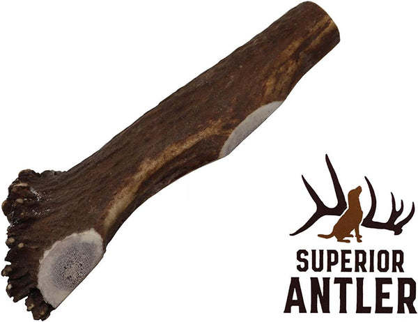 1 Large Split Antler Chew, All Natural Premium Grade A, 5"-9” Length, Made in The USA