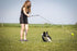 Flirt Pole for Dogs - Safe & Strong for Large Breeds - Heavy-Duty Teaser Wand for Tug of War and Puppy Training
