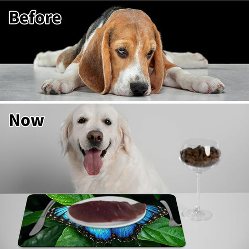 HEAKIERG 19.6"x24", Pet Bowl Mats for Food Cat Play Mat Pet Feeding Rug with Waterproof & Non-Slip Rubber Bottom