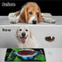 HEAKIERG 19.6"x24", Pet Bowl Mats for Food Cat Play Mat Pet Feeding Rug with Waterproof & Non-Slip Rubber Bottom