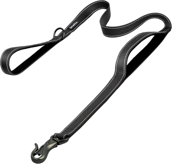PetiFine 6FT Heavy Duty Dog Leash - Soft Padded Double Handle, Durable Strong Clasp, Reflective Nylon Walking Lead for