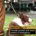 Heavy Duty Dog Leash with 2 Padded Handles & Easy Metal Clip, 4-6FT Shock Absorbing No Pull Leashes for Medium Large