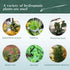 Upgrade Acrylic Aquarium Plant Holder, Hanging Aquatic Plant Holder with Adjustable Suction Cup