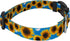 Country Brook Petz Deluxe Dog Collar, Vibrant Floral Collection for Durability, Comfort & Style, Sunflowers, Medium