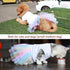 ANIAC White Dog Dress, Summer Clothes for Small Dog Girl, Spring Puppy Princess Dress, Cat Outfit, Rainbow (Large,