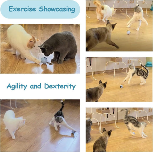 Migipaws Interactive Cat Ball Toy Set, Automatic Rolling Chase Ball with Fluffy Tail, Rechargeable (White)