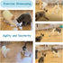 Migipaws Interactive Cat Ball Toy Set, Automatic Rolling Chase Ball with Fluffy Tail, Rechargeable (White)