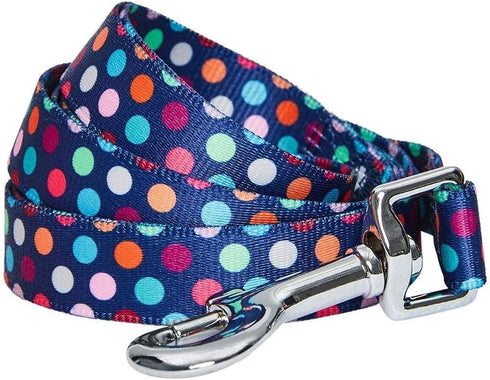 Blueberry Pet Essentials Rainbow Polka Dots Dog Leash, 4 ft x 1", Large