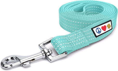 Pawtitas 6 FT Reflective Dog Leash - Comfortable Handle, Heavy Duty for Small Dogs, Teal