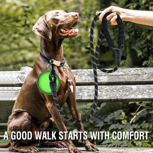 COOYOO 2 Pack Dog Leash, 2/5/6 FT Heavy Duty, Comfortable Padded Handle, Reflective for Medium Large Dogs with