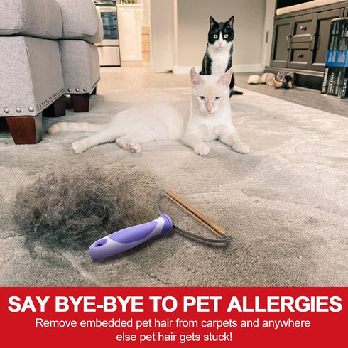 Pet Hair Remover, Dog Cat Lint Cleaner Pro, Portable Fur Removal Tool for Carpets, Car Mat, Couch, and Furniture