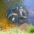 Cyrank 6 Crawfish Trap, Foldable Fishing Bait Trap Holes Hexagon Crab Trap Crawfish Fishing Net Portable Minnow Trap