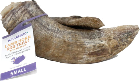 Icelandic+ Lamb Horn with Marrow - Small 4-5.5" Dog Chew, All-Natural Edible Treat for Puppies and Small Dogs