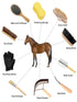 (12-Piece): Horse Grooming Kit Brushes, Storage Bag, Sweat Scraper, Mane Comb, Grooming Gloves, Horse Gift for Girls