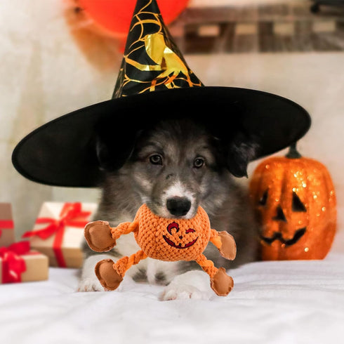 Vehomy Halloween Dog Toys - Squeaky Pumpkin & Turkey Chew Toy for Small & Medium Dogs (2Pcs).