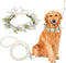 Dog Wedding Flower Collar with Pearls Beaded Leash, Elegant Flower Headband, Dog Wedding Attire (Large)