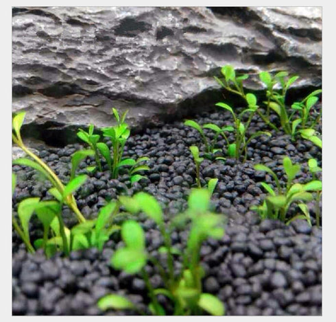 2 LB Freshwater Planted Aquarium Substrate - Aquatic Plant Cultivation Medium