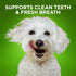 Fruitables Bioactive Fresh Mouth Dental Chews – Mini Size Dog Treats – 7.3 Ounces