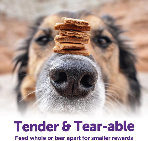 Wellness Rewarding Life Grain-Free Soft Dog Treats: Made in USA with Healthy Ingredients, Turkey & Duck Recipe, 6-Ounce