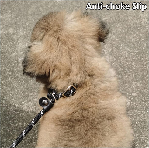 Anti-Choking Reflective Long Slip Lead Dog Leash, 12FT/20FT/30FT/50FT Rope for Medium Dogs Small Puppy Pets, Black