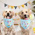 Agroon 1PCS, Dog Birthday Bandana Blue Party Supplies XLarge Durable Triangle Reversible Scarf Bibs Handkerchief