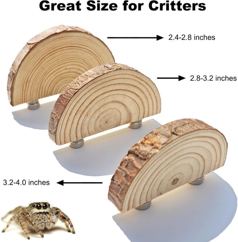 3 Pack Jumping Spider Enclosure Climbing Platforms, Magnetic Jumping Spider Wooden Ledge Ladder, Jumping Spider