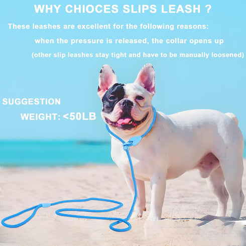 Slip Leads for Dogs, Comfortable 6 FT Heavy Duty Loop Leash, No Pull Training Leash in 6 Classic Colors - Blue