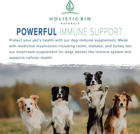 Canine Super Immune Human Grade Beet, Chlorella, & Medicinal Mushroom Blend with Reishi, Maitake, & Turkey Tail Mushroom for Dogs | Powdered Dog Immune Booster (100g)