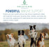 Canine Super Immune Human Grade Beet, Chlorella, & Medicinal Mushroom Blend with Reishi, Maitake, & Turkey Tail Mushroom for Dogs | Powdered Dog Immune Booster (100g)