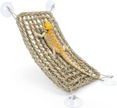 Niteangel Bearded Dragon Hammock, Rectangle 16'' x 8'', Reptile Lounger for Chameleon, Lizards, Snakes, Iguana,