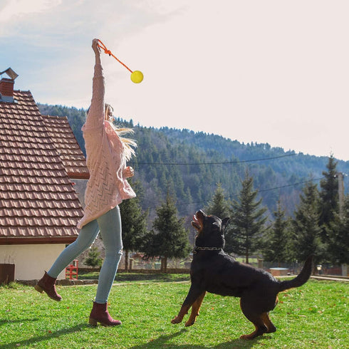2 Pack Dog Ball, K9 Ball on Rope for Fetch, Reward, Play (6cm)