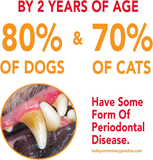 2.5oz Petrodex Toothpaste for Dogs and Puppies, Cleans Teeth and Fights Bad Breath, Reduces Plaque and Tartar
