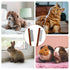 2pcs Solid Wood Grooming Combs for Pets, Narrow Rounded-Tip Steel Teeth for Cats and Dogs