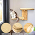 2 2 Cat Wall Shelves, Wall Mount Adult Cat Tree with Steps Sisal Scratch Mats, Solid Wood Kitten Bed Pet Climber