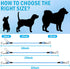 Harness,32 Inch/80 cm Dogs2 Pack Dog Car Safety Double Clips Seatbelt Dog LeashNo Chew seat Belts for Blue