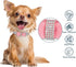 Rhinestone Bowtie Dog Collar for Girls Boys, Cute Dazzling Soft Suede Leather Bling Cat Collars for Small Medium Large