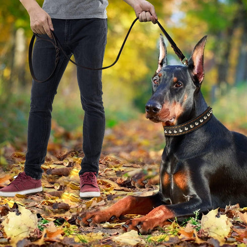 Leather Dog Leash 4ft x 3/4 inch, Heavy Duty Braided Genuine Leather Leash, Soft Comfortable for Large Medium Small Dogs