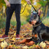 Leather Dog Leash 4ft x 3/4 inch, Heavy Duty Braided Genuine Leather Leash, Soft Comfortable for Large Medium Small Dogs
