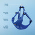 Best Pet Supplies Royal Blue Adjustable Dog Vest Harness, No Pull, for Small, Medium, Large Dogs