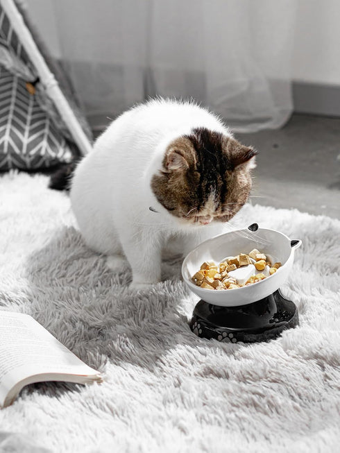 Y YHY Ceramic Cat Slow Feeder, Elevated Tilted Design for Dry and Wet Food, Dog Slow Feeder Bowl